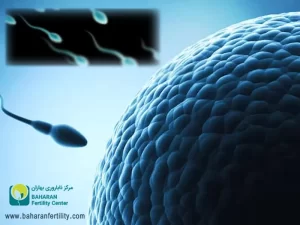 آزواسپرمی چیست و چه درمانی دارد؟